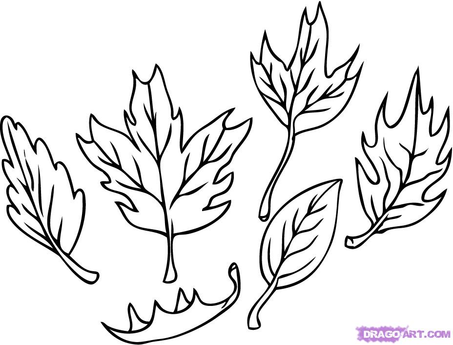 928x706 How To Draw Leaves, Step - Leaf Cartoon Drawing