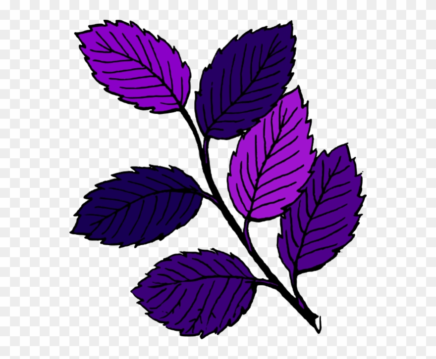 880x726 Leaf Branch Clipart - Leaf Cartoon Drawing