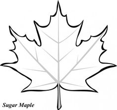 236x222 Learn How To Draw A Leaf, One Of The Maple Variety - Leaf Cartoon Drawing