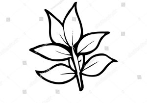 300x210 Cartoon Leaf Drawing Leaf Cartoon Drawing Clip Art - Leaf Cartoon Drawing