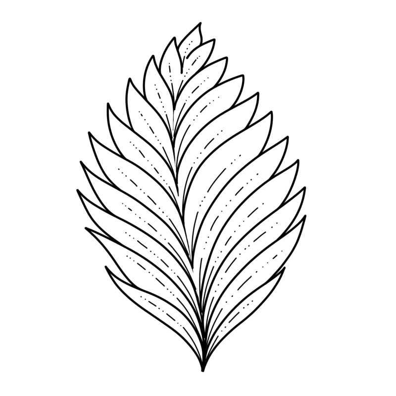 800x800 Drawing Leaves Easily Using Simple Shapes - Leaf Drawing