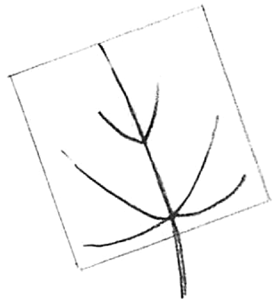 400x435 How To Draw Maple Leaves - Leaf Drawing Easy