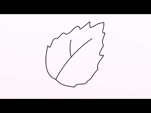 480x360 How To Draw Leaf Easy Drawing For Kids Step - Leaf Drawing Easy