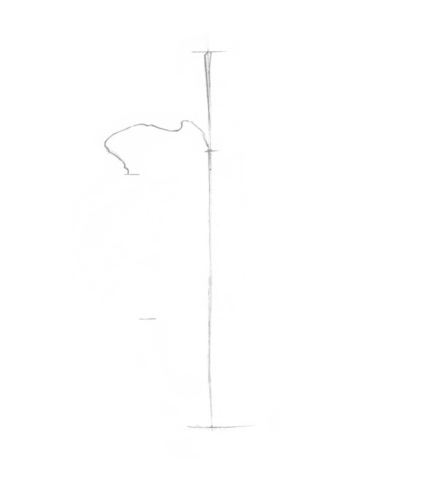 850x990 How To Draw A Leaf Step - Leaf Drawing Easy