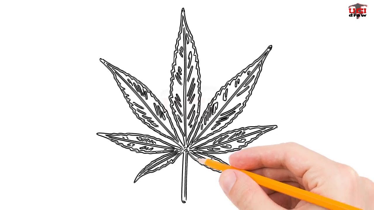 1280x720 How To Draw A Pot Leaf Step - Leaf Drawing Easy