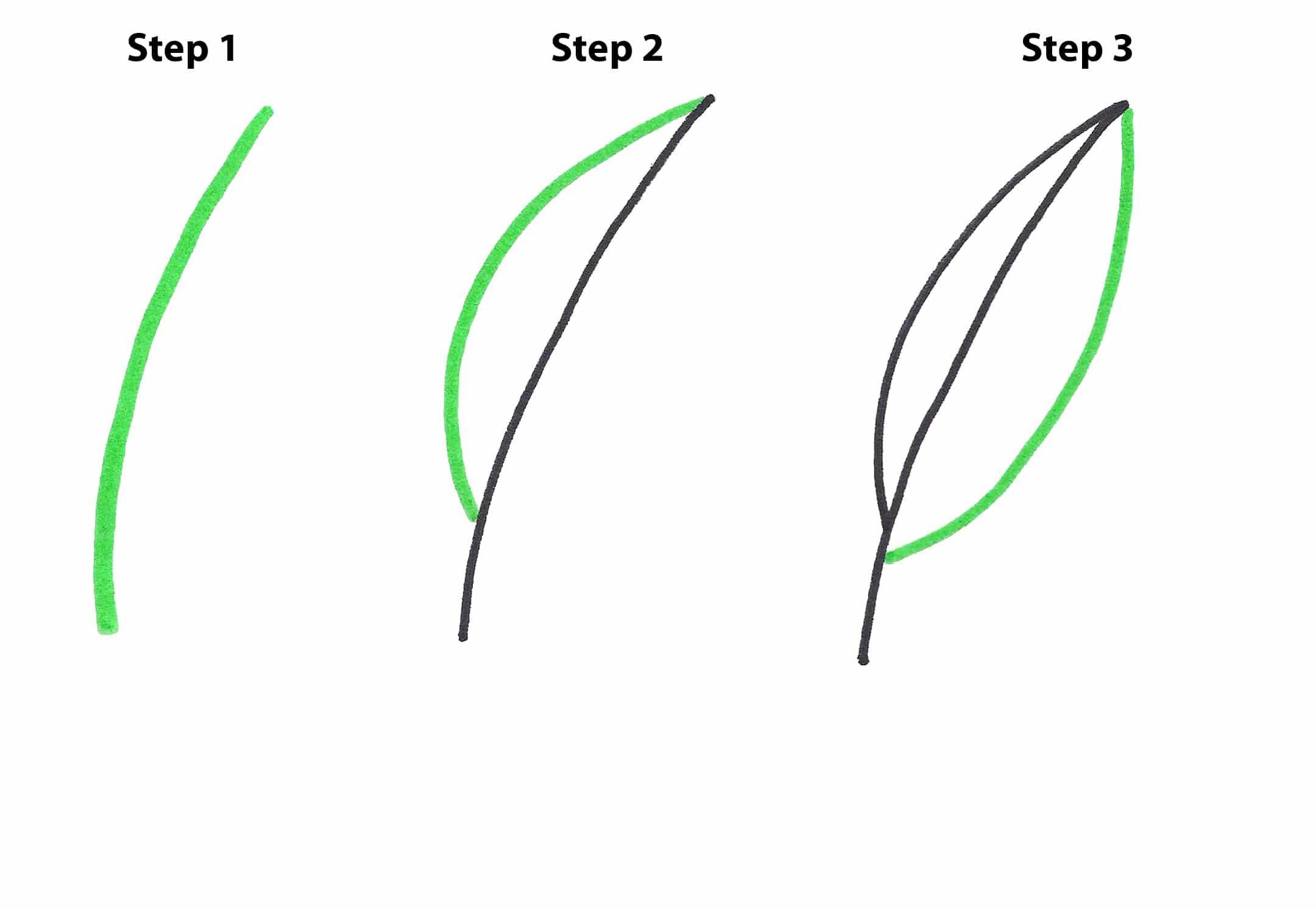 2160x1492 How To Easily Draw A Pot Leaf Step - Leaf Drawing Easy