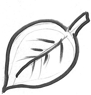 314x328 Leaf - Leaf Drawing Easy