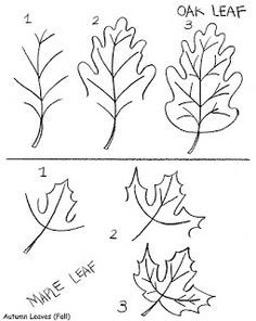 236x296 how to draw simple leaves drawing drawings, leaf drawing, fall - Leaf Drawing Easy