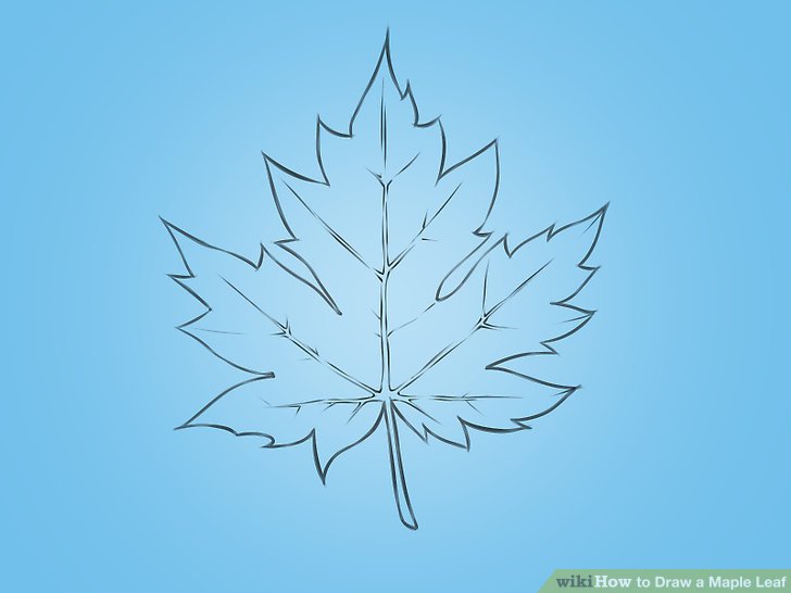 728x546 How To Draw A Maple Leaf Steps - Leaf Drawing Images