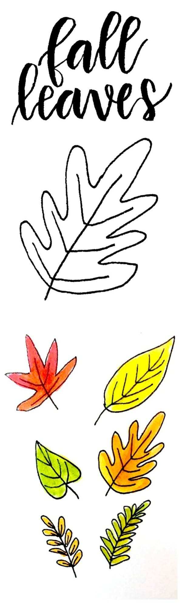 600x1988 Ways To Draw Fall Leaves Dawn Nicole - Leaf Drawing Images