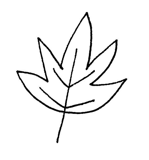 600x644 Leaf Drawing Best Drawing Skill - Leaf Drawing Images