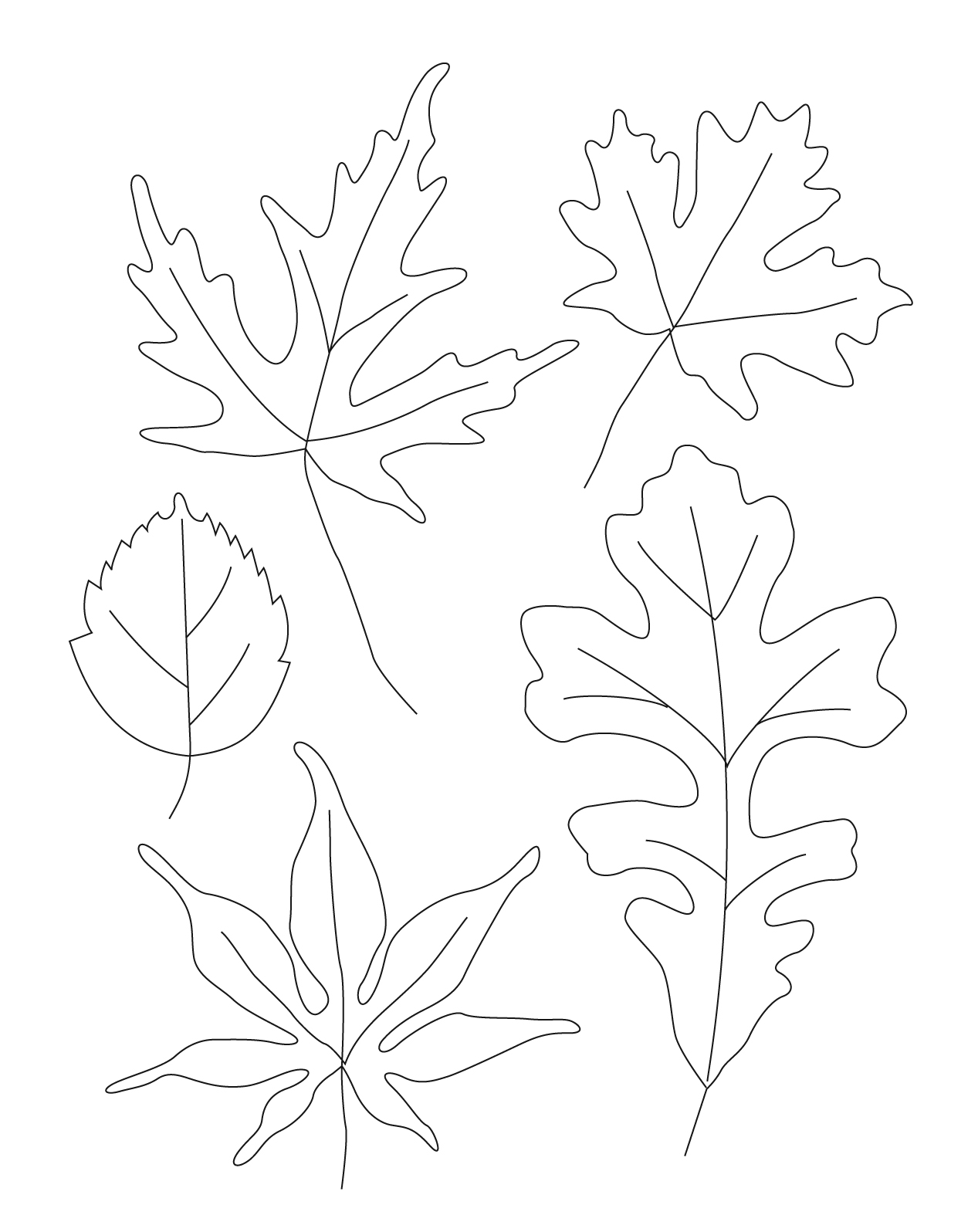 1267x1596 Contour Leaf Drawings - Leaf Drawing Images