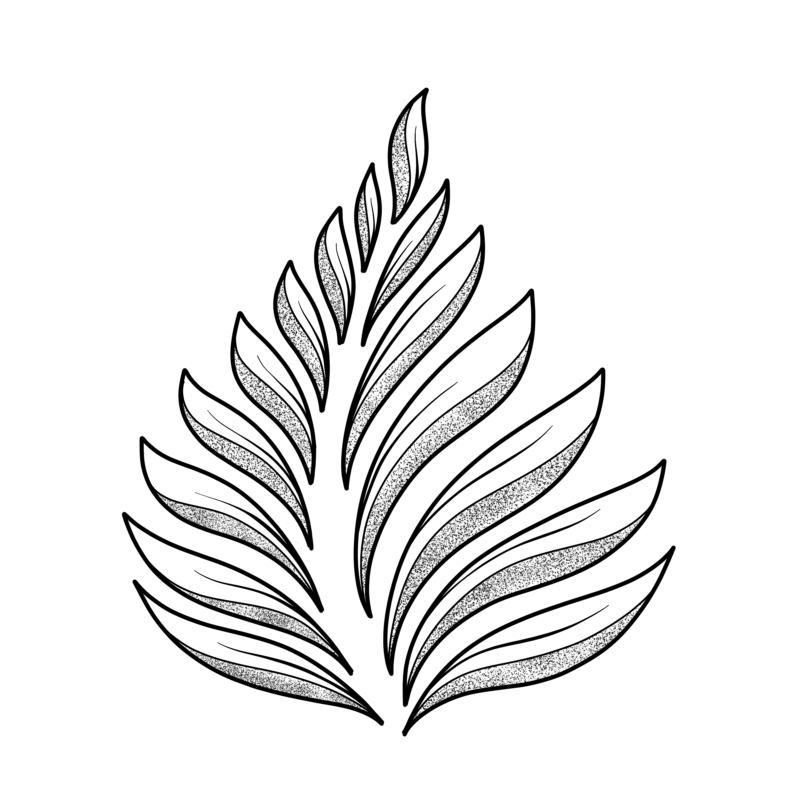 800x800 Drawing Leaves Easily Using Simple Shapes - Leaf Drawing Images