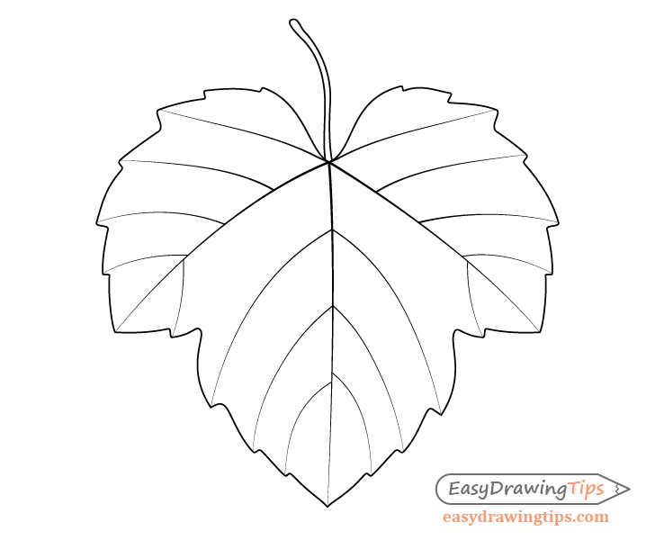 728x600 How To Draw Grapes Step - Leaf Drawing Pictures
