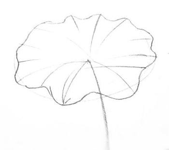 350x309 How To Draw A Lotus - Leaf Drawing Pictures