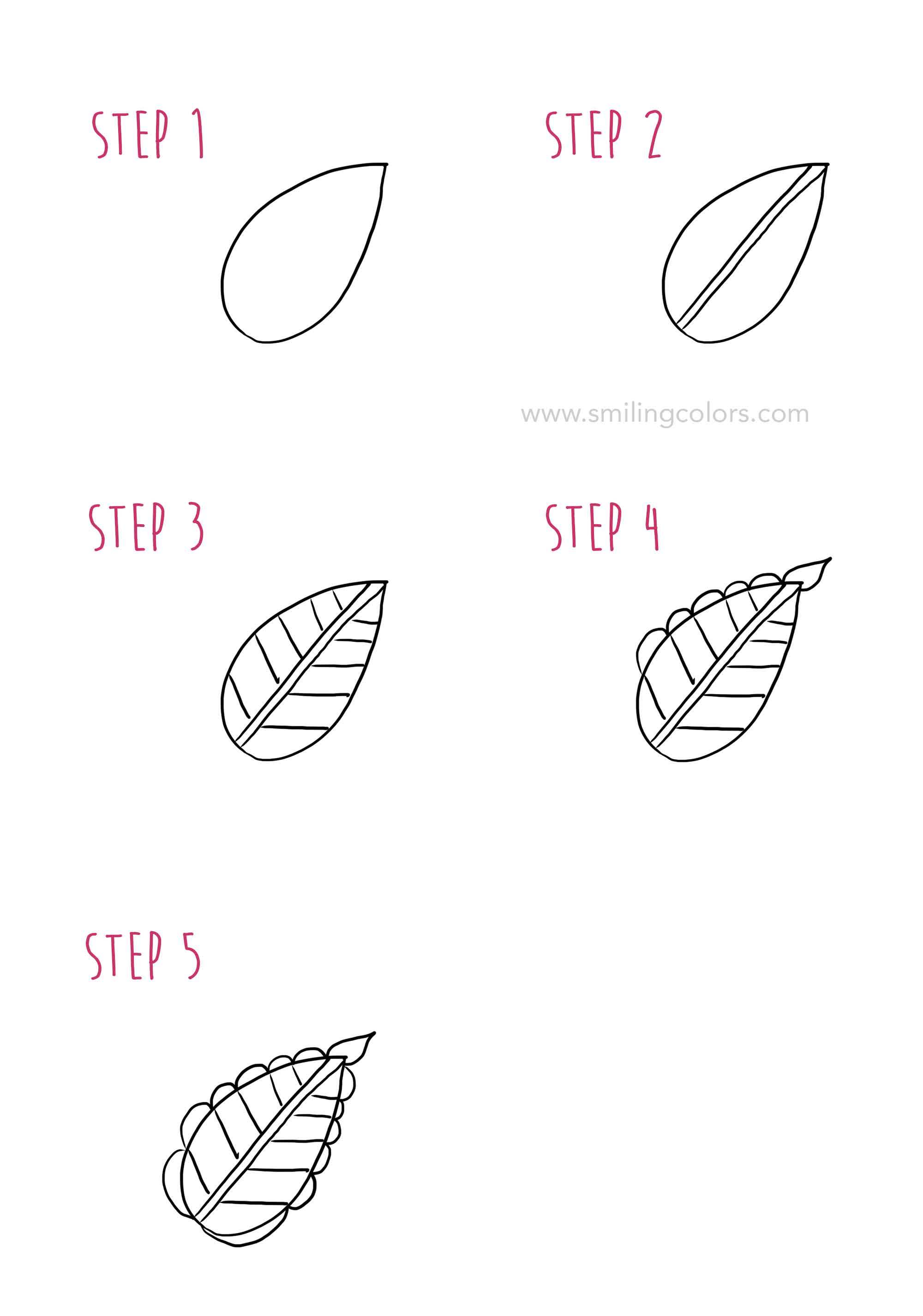 2000x2852 Leaf Drawing Step - Leaf Drawing Pictures