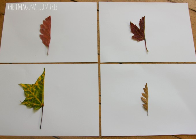 680x482 Mirror Leaf Drawings Nature Art - Leaf Drawing Pictures