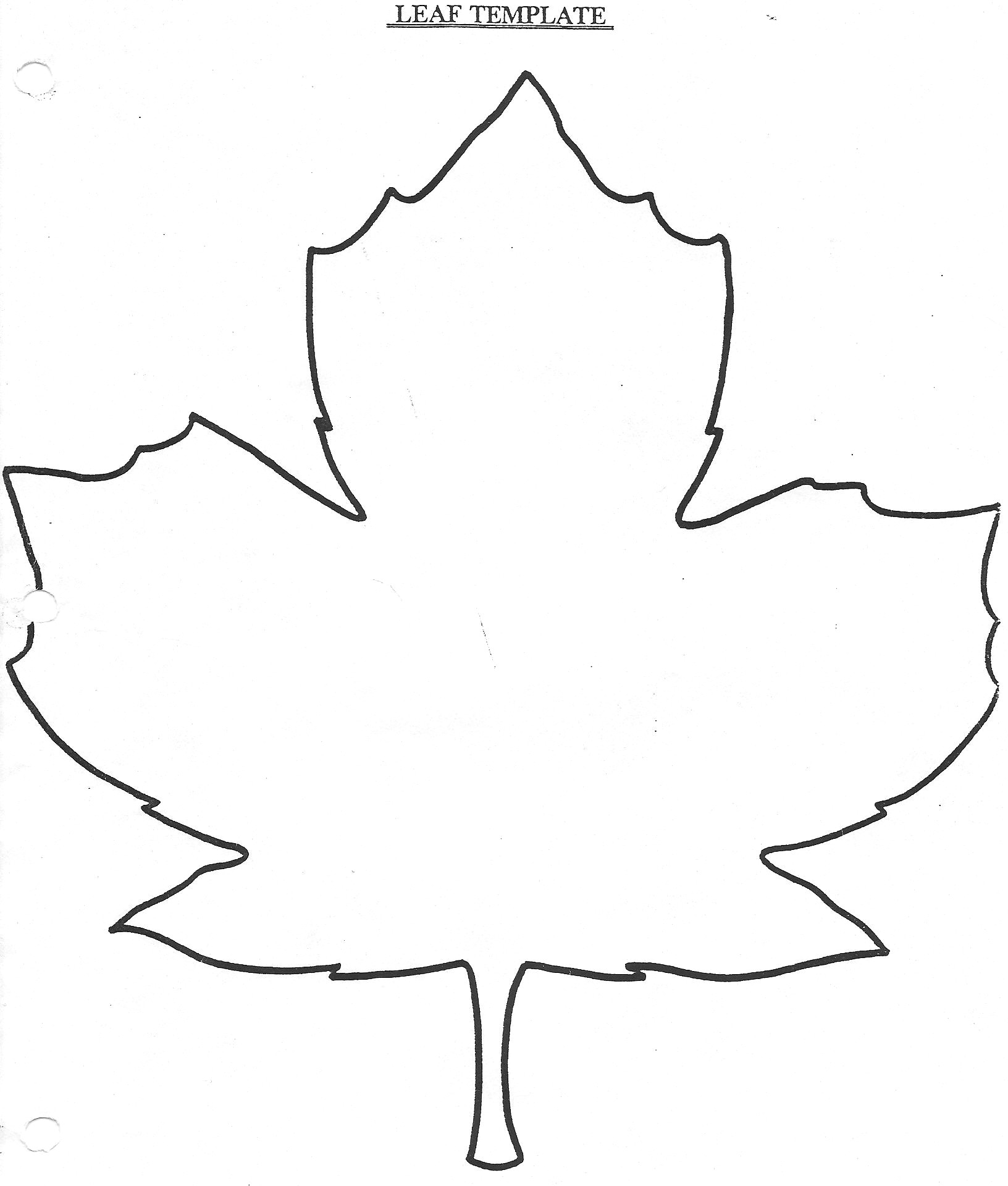 1632x1920 reliable fall leaves outline leaf drawing at getdrawings com free - Leaf Drawing Pictures
