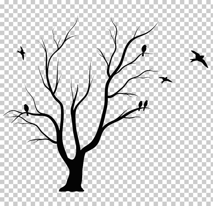 728x705 shadow of the apple tree leaf drawing, tree png clipart free - Leaf Drawing Pictures