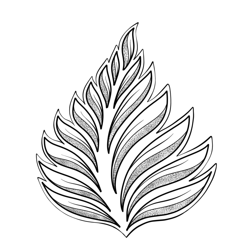 800x800 Drawing Leaves Easily Using Simple Shapes - Leaf Drawing Pictures
