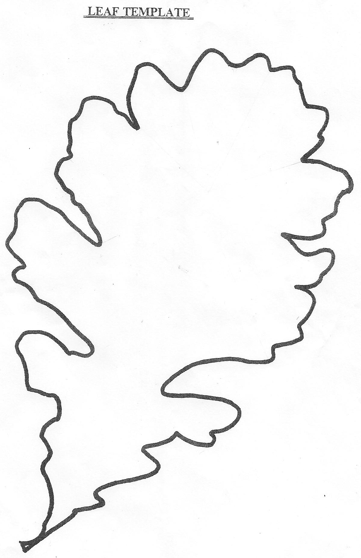 Leaf Drawing Template
