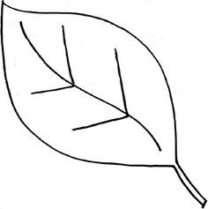 236x237 How To Draw Doodle Leaf Drawing With Leaves Outline Template - Leaf Drawing Template