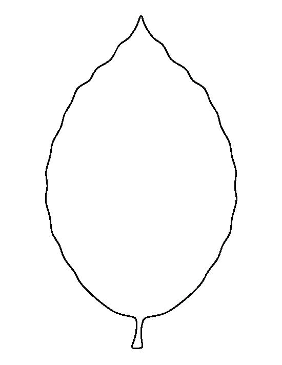 550x712 Leaf Drawing Template Blank With Lines Apple - Leaf Drawing Template