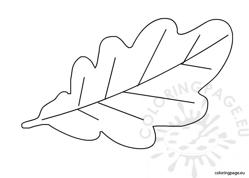 794x567 Oak Leaf Drawing Template - Leaf Drawing Template