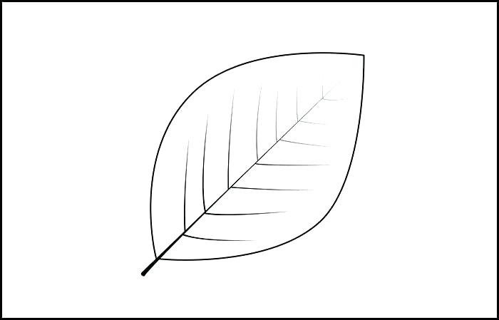 Leaf Drawing Template at PaintingValley.com | Explore collection of ...
