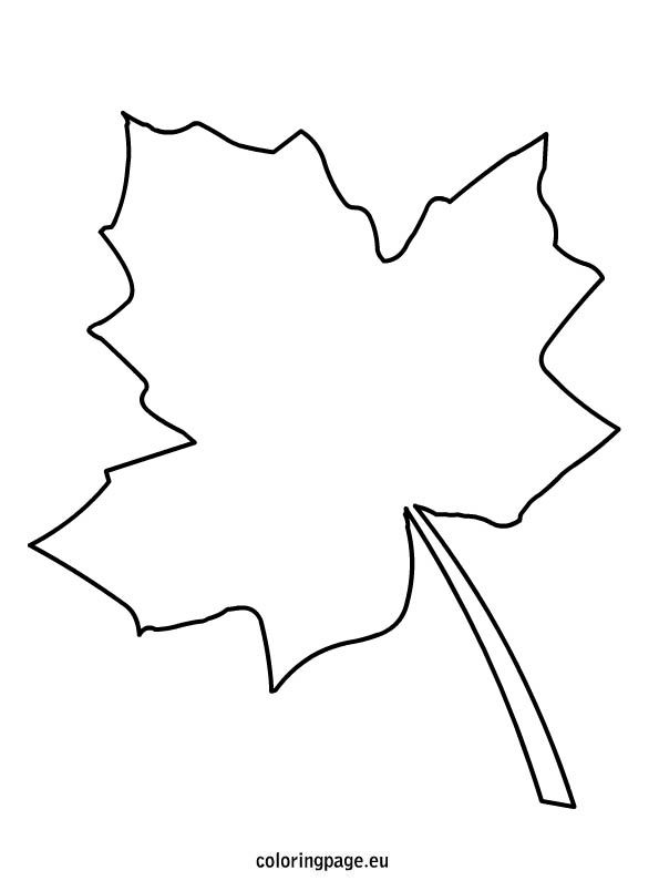 595x804 students can write, draw, and write friends' names on these leaves - Leaf Drawing Template