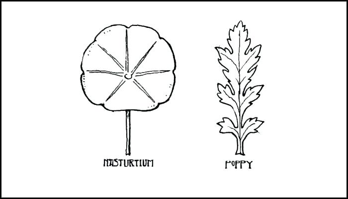 700x400 Leaf Drawing Template - Leaf Drawing Template