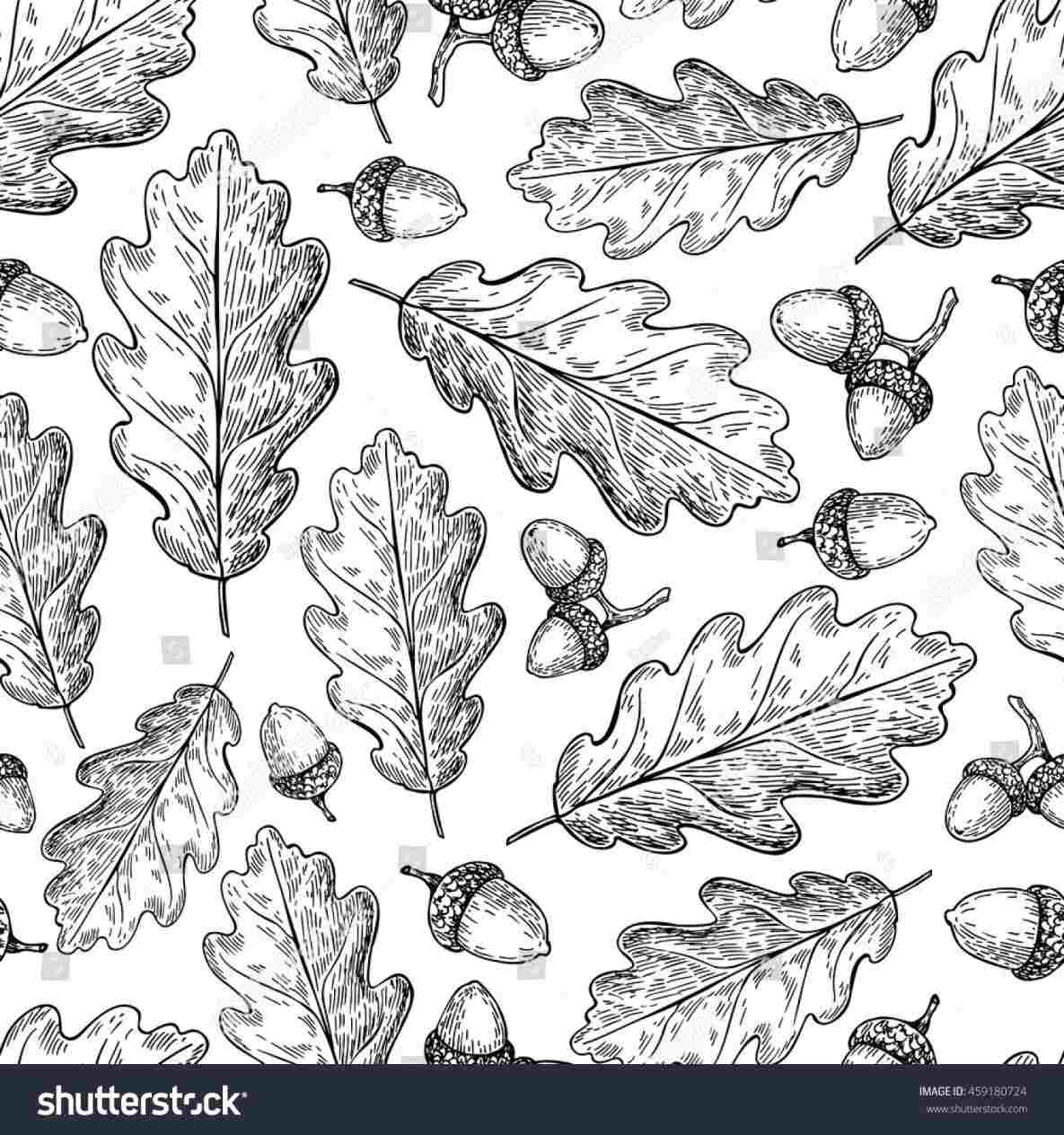 1185x1264 Fall Leaves Drawing - Leaf Drawing Template