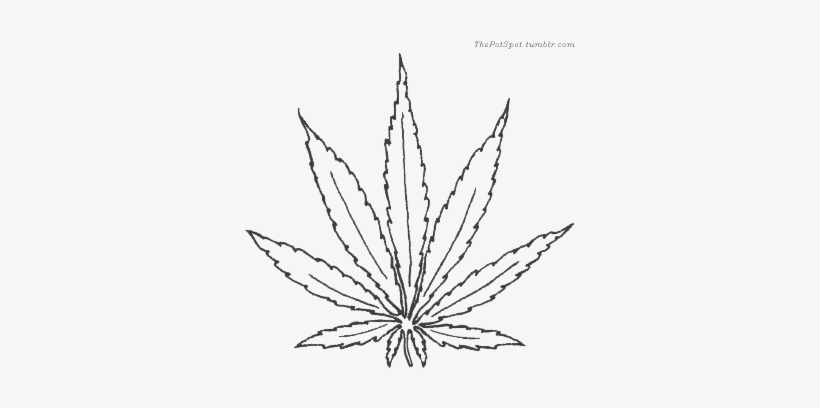 820x408 Weed Leaf Drawing Tumblr At Getdrawings - Leaf Drawing Tumblr