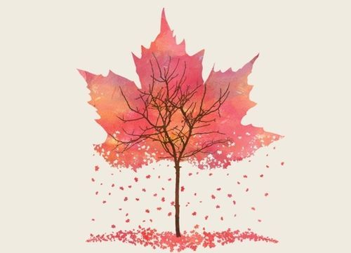 500x361 Fall Tumblr - Leaf Drawing Tumblr