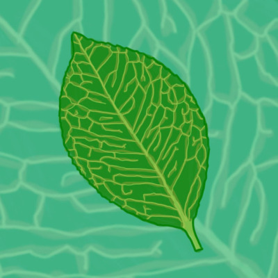 400x400 Leaf Drawing Tumblr - Leaf Drawing Tumblr