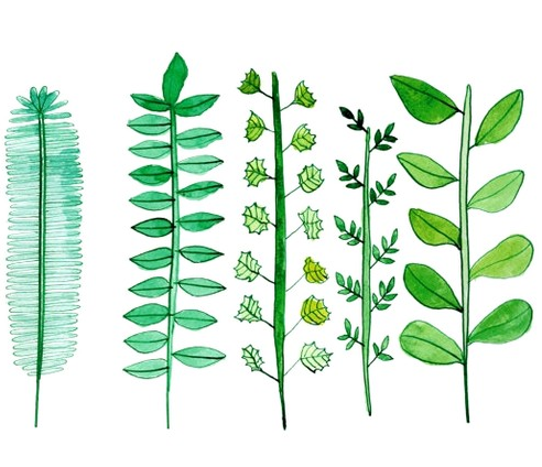 492x424 Plant Life Via Tumblr On We Heart It - Leaf Drawing Tumblr