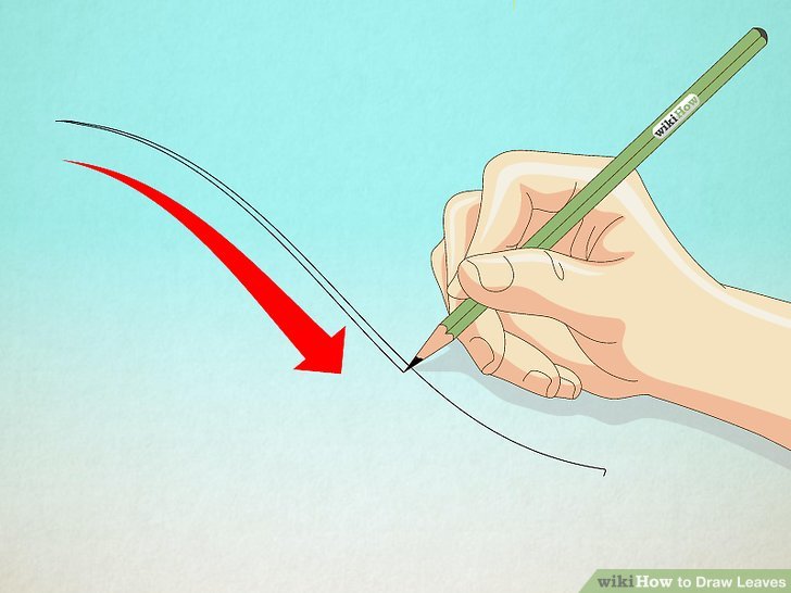 728x546 How To Draw Leaves Steps - Leaf Drawings In Pencil