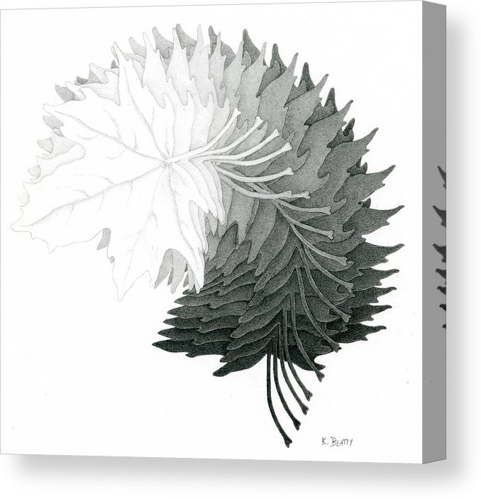 678x703 Pencil Drawing Of Maple Leaves Canvas Print Canvas Art - Leaf Drawings In Pencil
