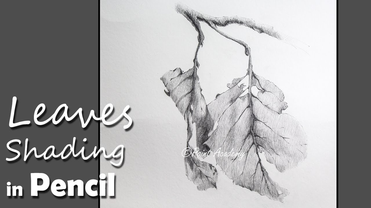 1280x720 Pencil Drawing Techniques How To Shade Leaves In Pencil - Leaf Drawings In Pencil