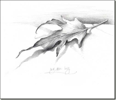 404x349 Pencil Sketches Leaves - Leaf Drawings In Pencil