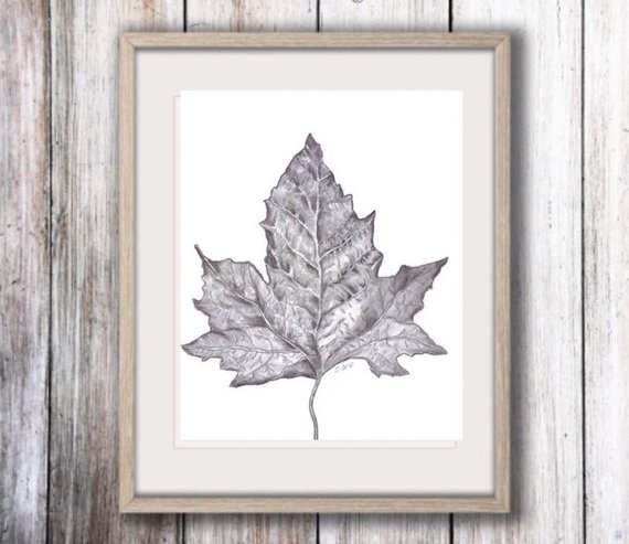 570x493 Pencil Drawing Leaf Sketch Black And White Print Leaf Print Etsy - Leaf Drawings In Pencil