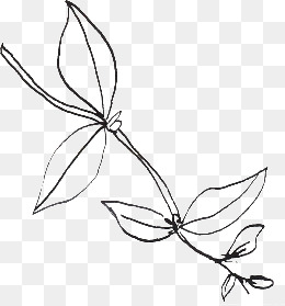 260x279 Line Drawing Leaves Png, Vectors, And Clipart For Free - Leaf Line Drawing