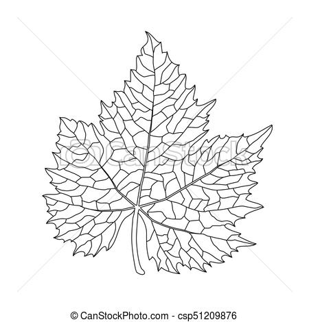 450x470 Black On White Grape Leaf Line Art - Leaf Line Drawing