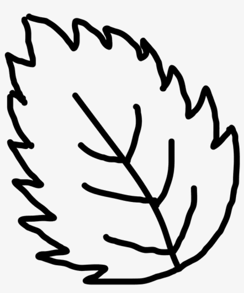 820x982 Leaf Outline Vector Png - Leaf Outline Drawing