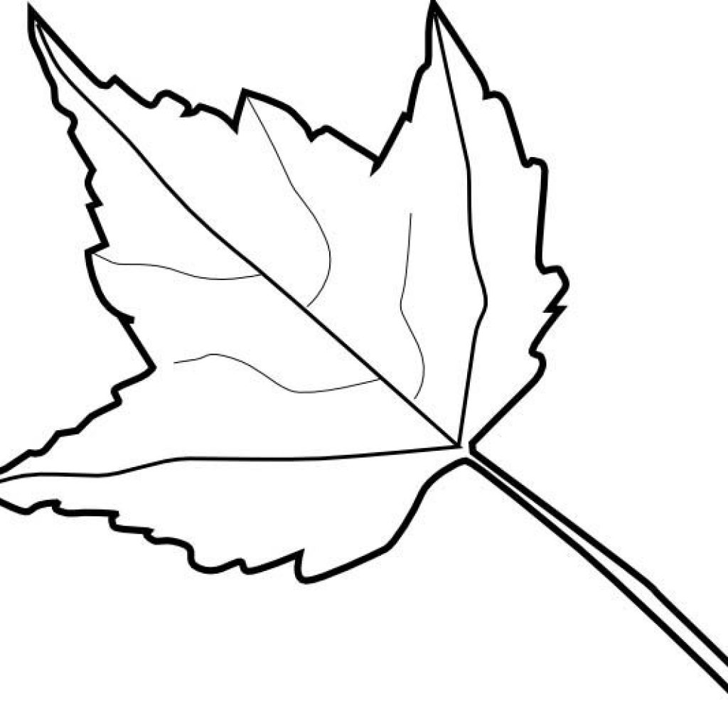 1024x1024 Leaf Outline Frog Clipart House Clipart Online Download - Leaf Outline Drawing