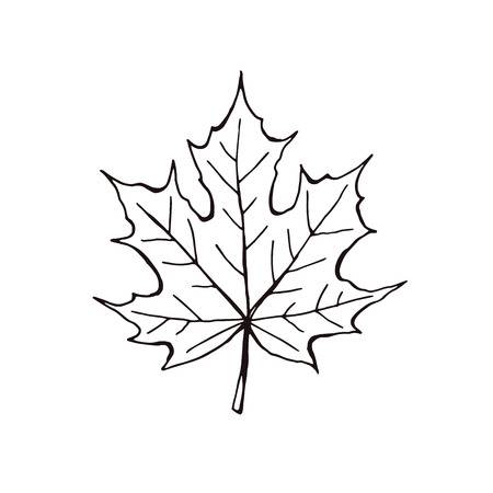 450x450 Maple Leaf Outline - Leaf Outline Drawing