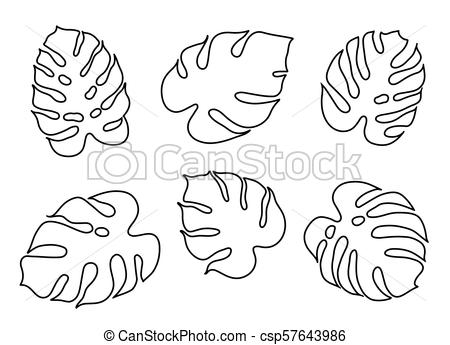 450x345 Vector Botanical Illustration Of Monstera Leaf Isolated Outline - Leaf Outline Drawing