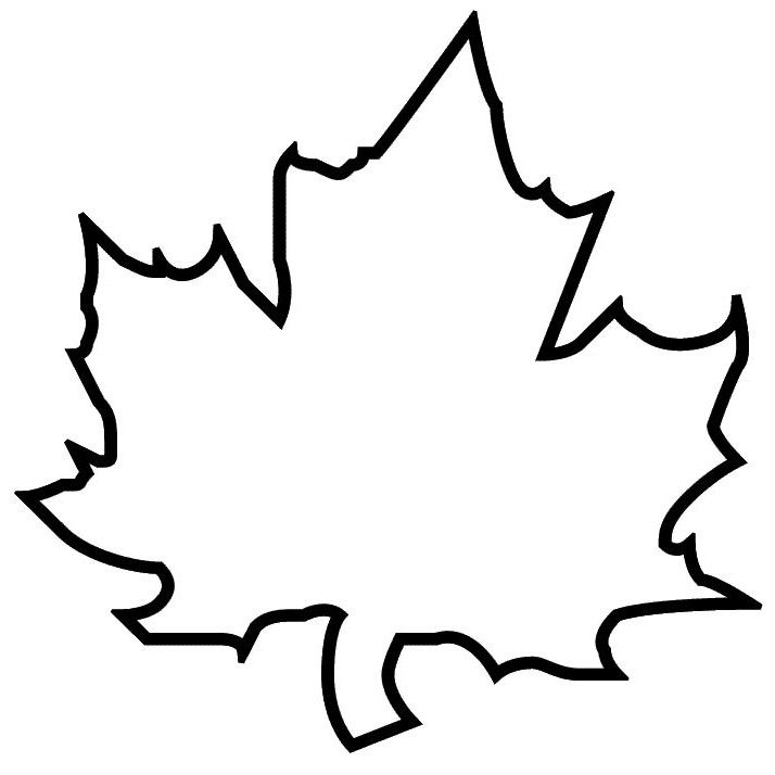 714x714 Line Leaf Drawing - Leaf Outline Drawing