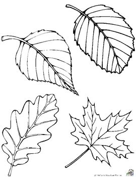 270x350 Free Fall Leaf Patterns Coloring Techniques Leaves, Painting - Leaf Pattern Drawing