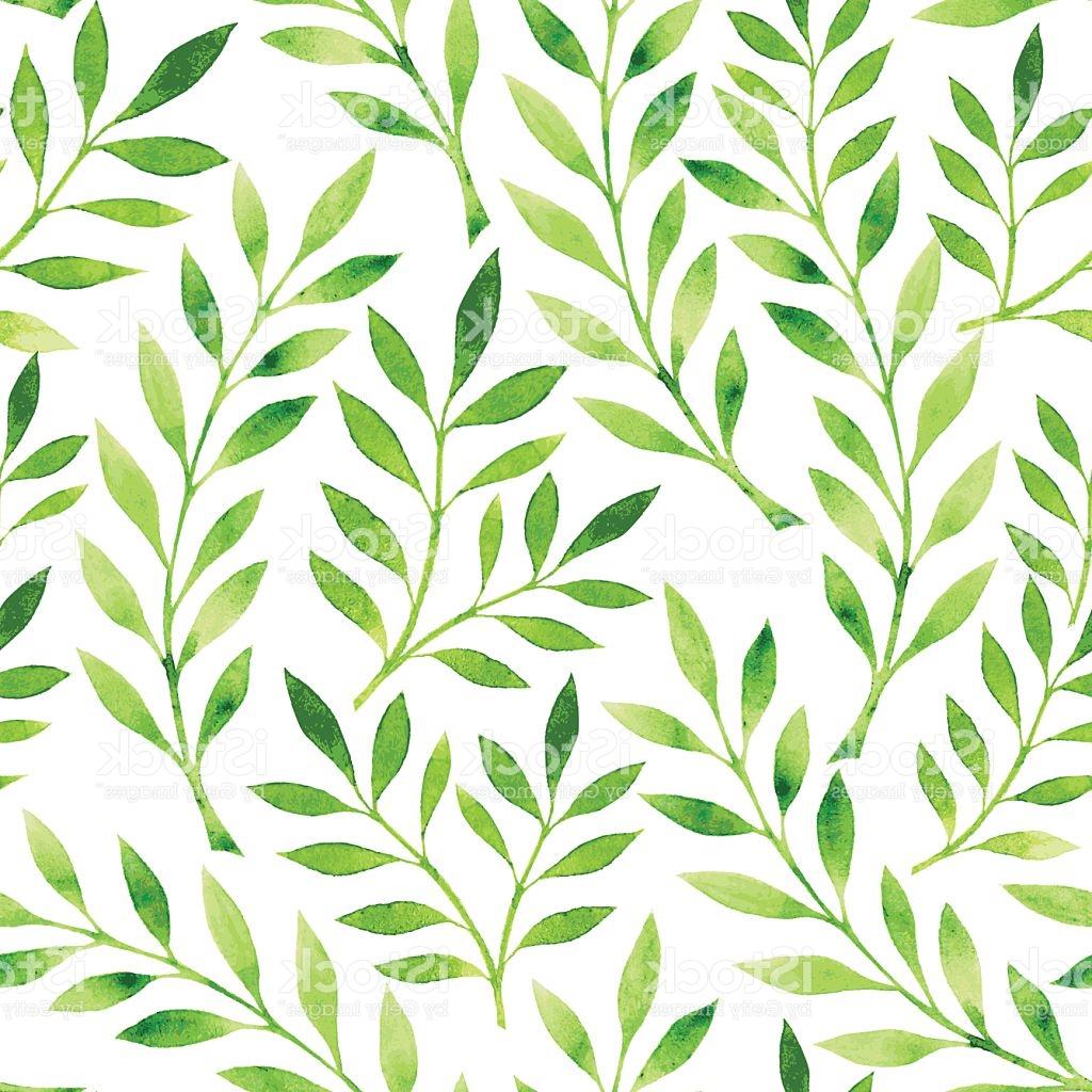 1024x1024 hd drawing of pattern green leaves on white background vector photos - Leaf Pattern Drawing